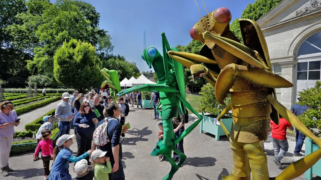 Le Jardin des sciences de Dijon dévoile son programme